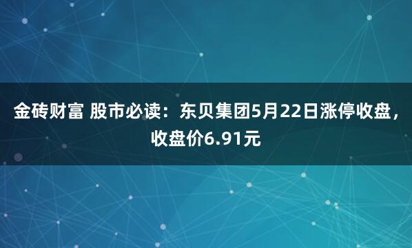金砖财富 股市必读：东贝集团5月22日涨停收盘，收盘价6.91元