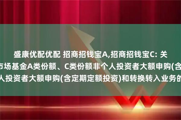 盛康优配优配 招商招钱宝A,招商招钱宝C: 关于调整招商招钱宝货币市场基金A类份额、C类份额非个人投资者大额申购(含定期定额投资)和转换转入业务的公告