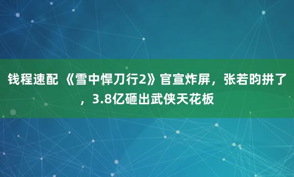 钱程速配 《雪中悍刀行2》官宣炸屏，张若昀拼了，3.8亿砸出武侠天花板